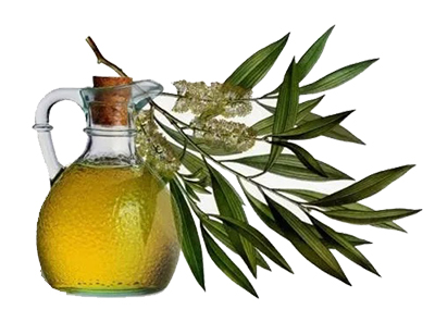 Tea Tree Oil